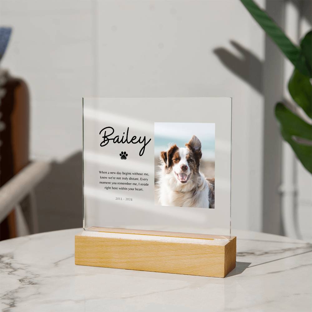 Customized Name & Photo Illuminated Pet Memorial Plaque | Sympathy Gift for Pet Loss