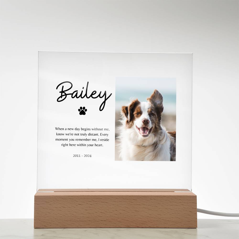 Customized Name & Photo Illuminated Pet Memorial Plaque | Sympathy Gift for Pet Loss