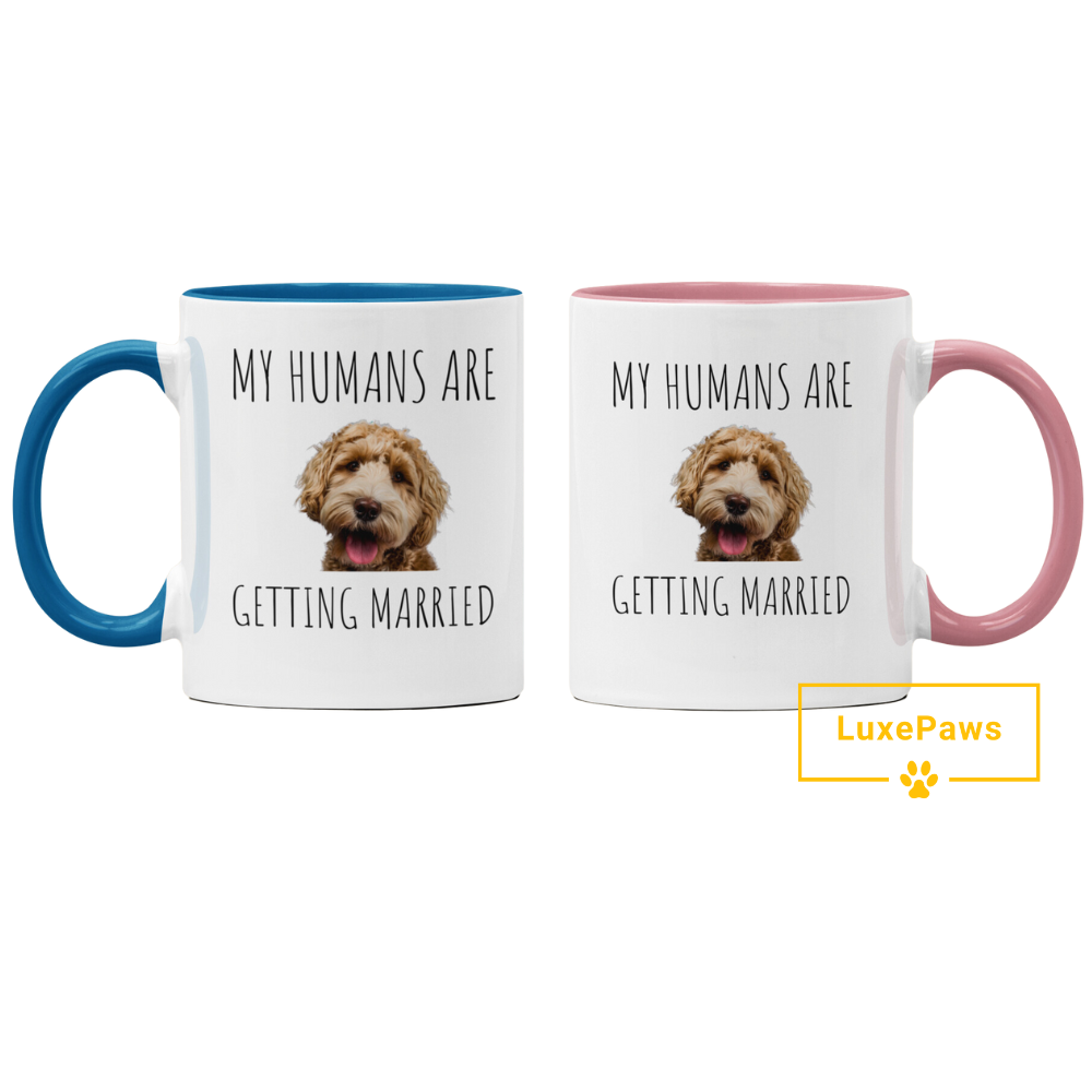 Personalized "My Humans Are Getting Married" 11 oz Accent Mug