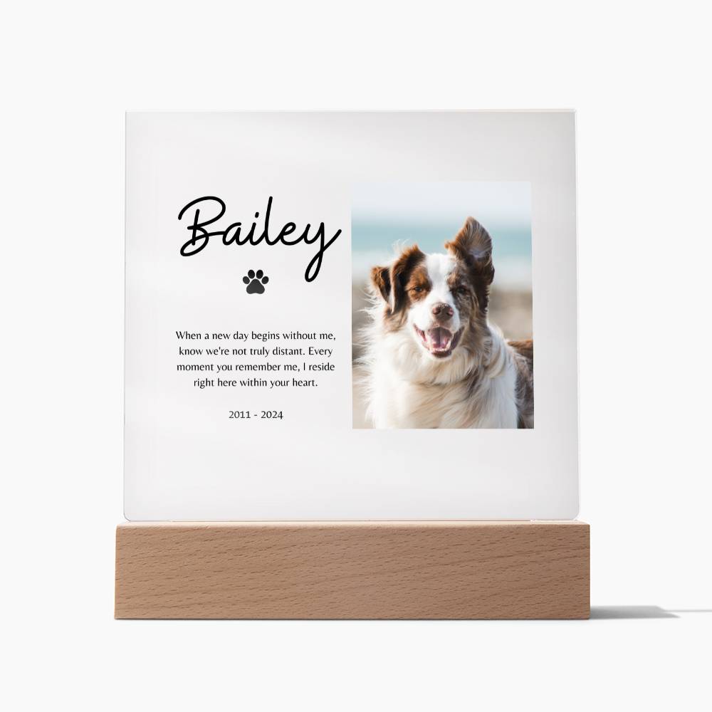 Customized Name & Photo Illuminated Pet Memorial Plaque | Sympathy Gift for Pet Loss