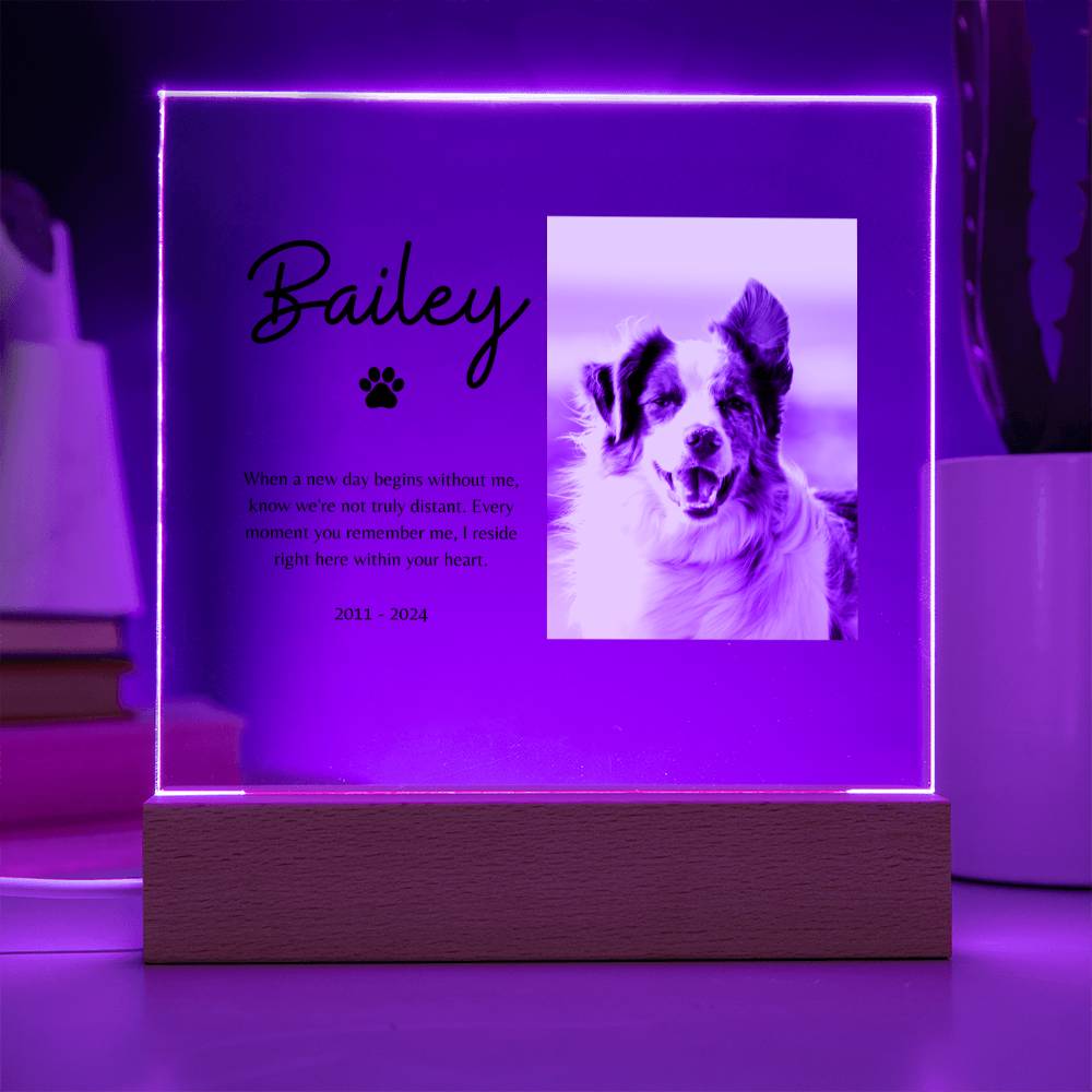 Customized Name & Photo Illuminated Pet Memorial Plaque | Sympathy Gift for Pet Loss