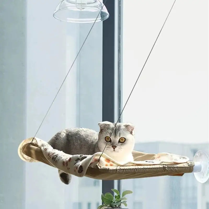 Cat's Hammock: The Floating Feline Retreat